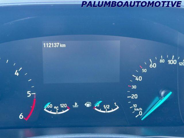 FORD Focus 1.5 EcoBlue 120 CV SW Business