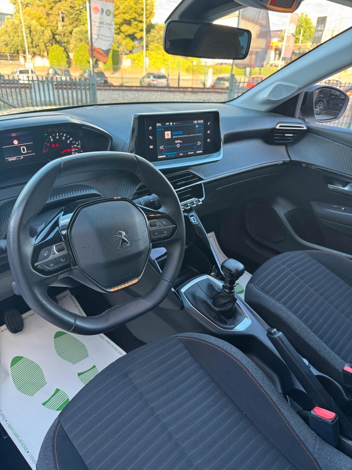 Peugeot 208 BlueHDi 100 5 porte