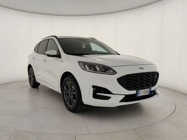 Ford Kuga 2.0 EcoBlue 150 CV aut. AWD ST-Line
