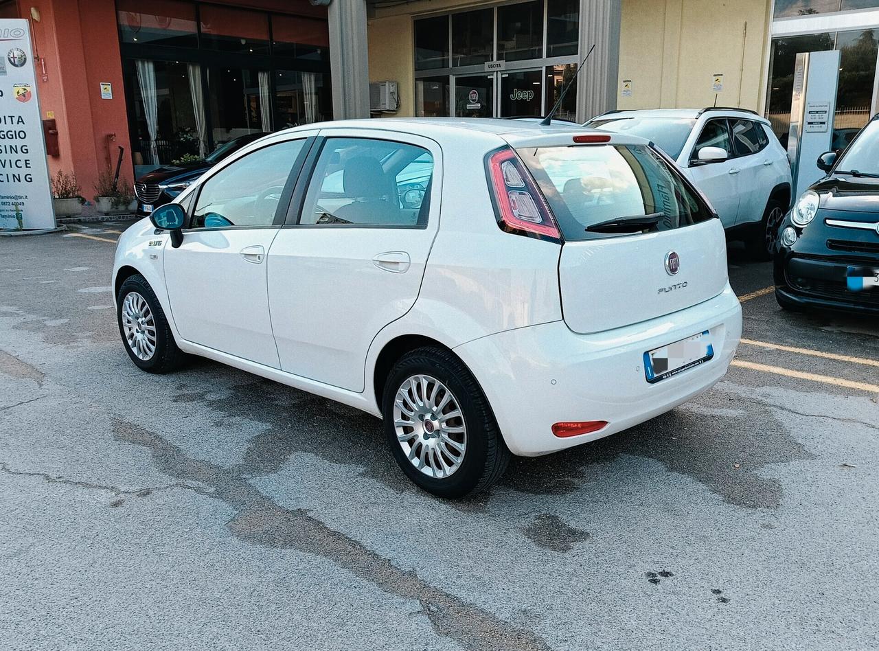 Fiat Punto 1.3 MJT II 75 CV 5 porte Young