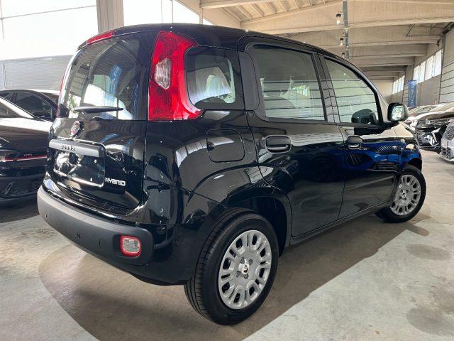 FIAT Panda 1.0 FireFly Hybrid Icon Pandina/PACK CITY+PARK