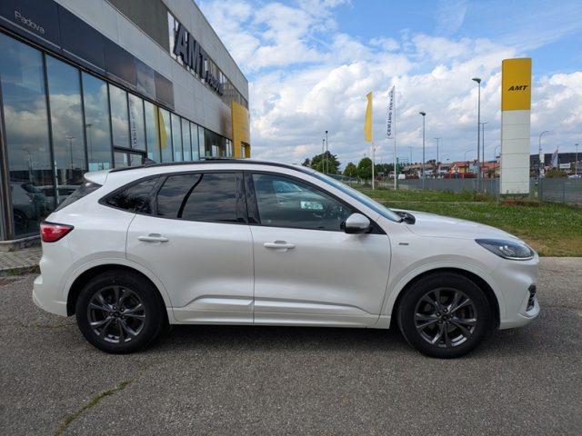 FORD Kuga 1.5 EcoBlue 120 CV aut. ST-Line