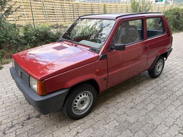 Fiat Panda 900 i.e. cat Young