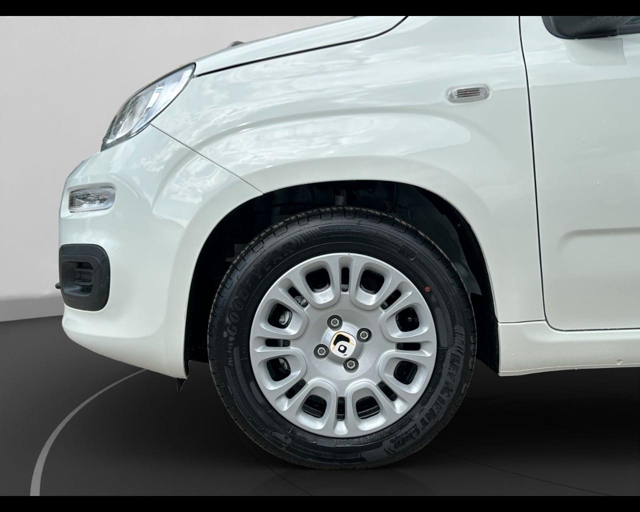 FIAT Panda 1.0 70cv Hybrid Panda