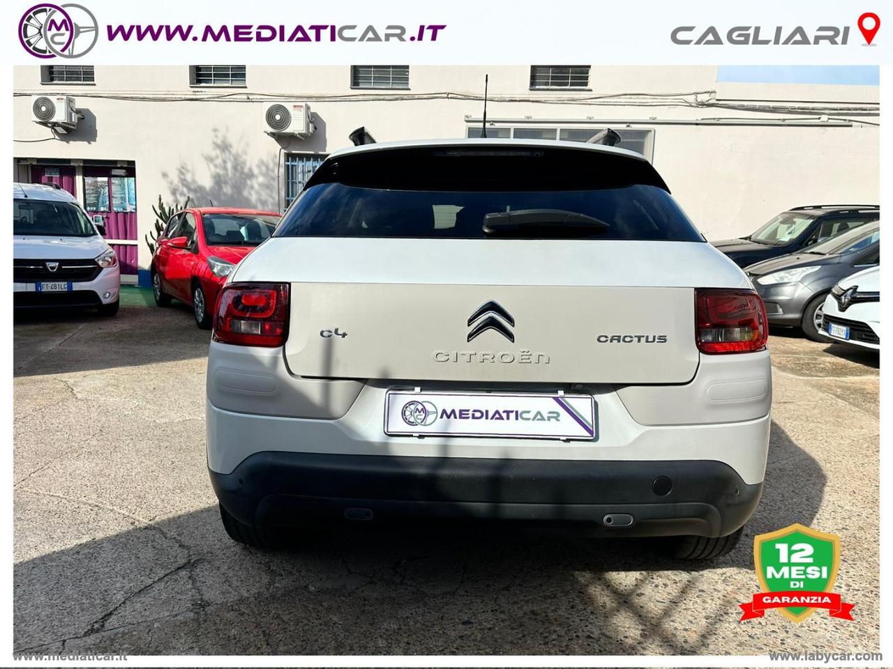 CITROEN C4 Cactus BlueHDi 100 Shine