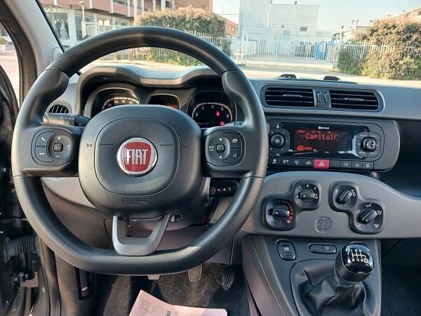 FIAT PANDA HYBRID 1.0 FireFly 70 CV S&S CITY LIFE