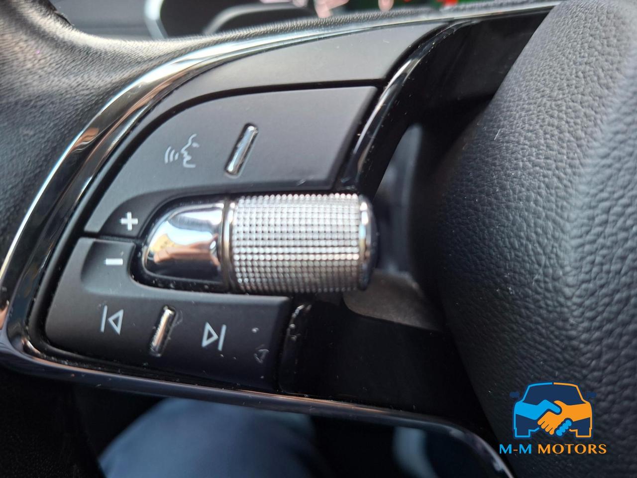 Skoda Octavia Wagon 2.0 tdi evo Executive 115cv dsg