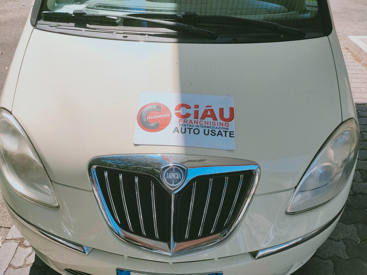 Lancia MUSA 1.3 Multijet 70 cv Argento