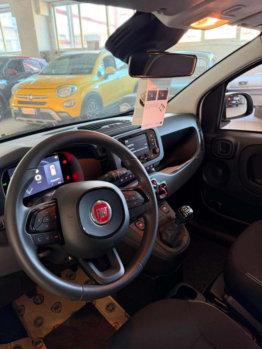 FIAT - Panda - 1.0 FireFly S&S Hybrid Pandina