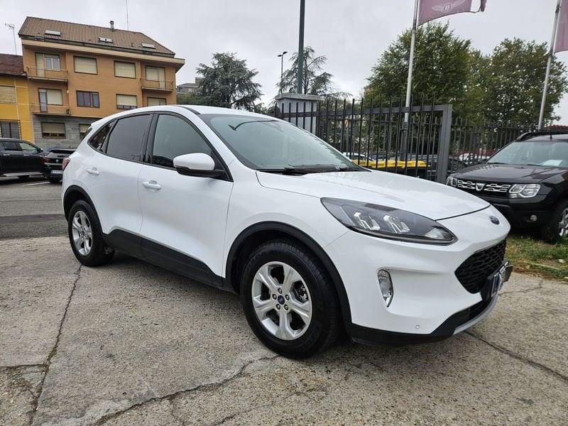 Ford Kuga 1.5 EcoBlue 120CV 2WD Auto