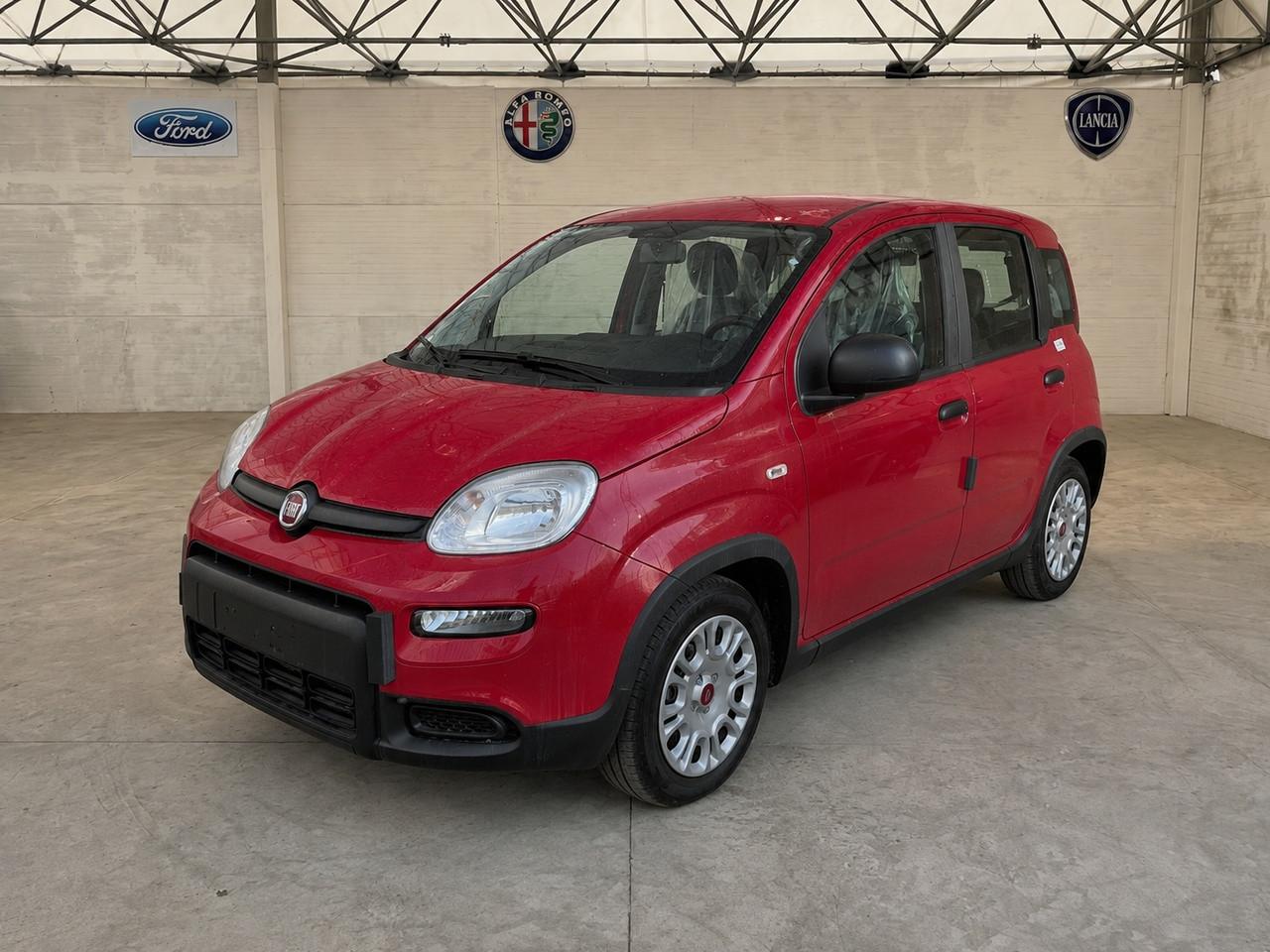 FIAT Panda III 2021 - Panda 1.0 firefly hybrid s&s 70cv 5p.ti