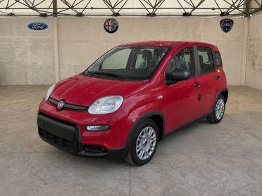 FIAT Panda III 2021 - Panda 1.0 firefly hybrid s&s 70cv 5p.ti