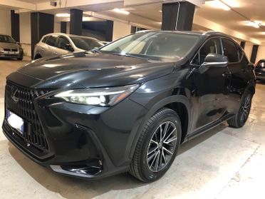 Lexus NX 300h NX Plug-in 4WD Luxury