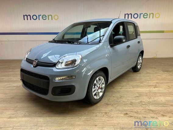 FIAT - Panda - 1.0 firefly hybrid s&s 70 CV