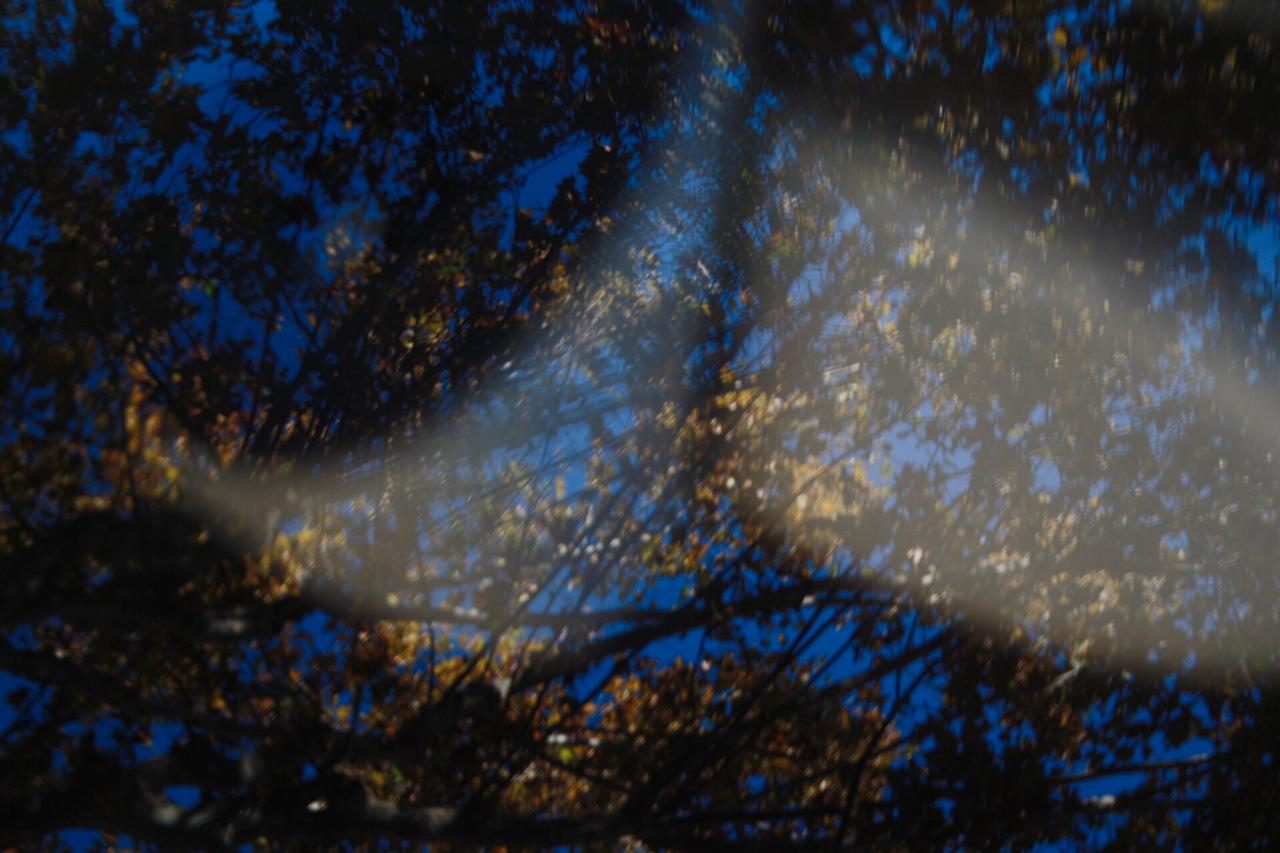 Audi A1 1.4 TDI S Tronic Ultra Metal plus NEOPATEN