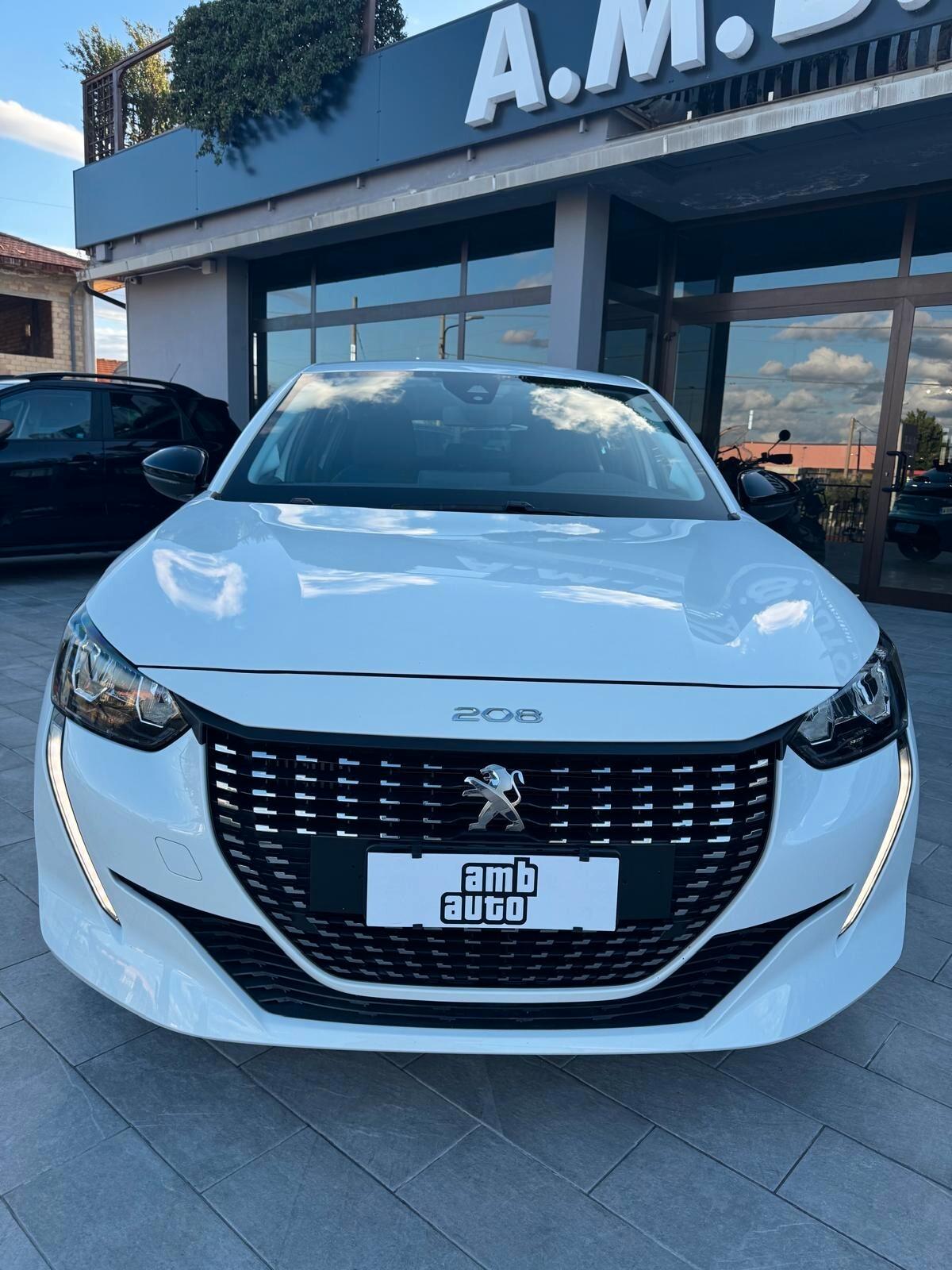Peugeot 208 BlueHDi 100 5 porte