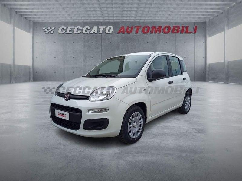 FIAT Panda Panda 1.0 firefly hybrid s&s 70cv