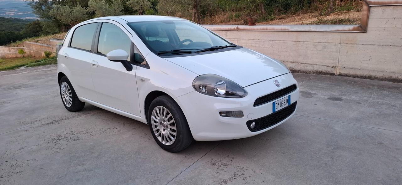 Fiat Punto 1.3 MJT II S&S 95 CV 5 porte Easy