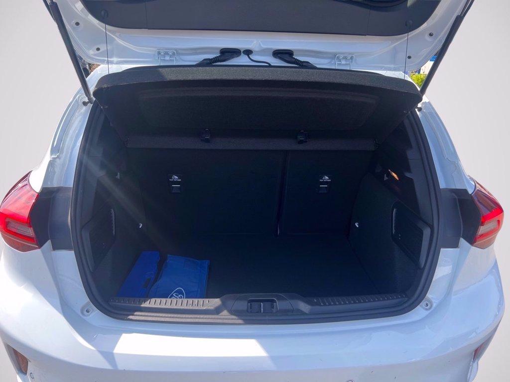 FORD Focus 1.5 ecoblue ST-Line 115cv auto del 2024
