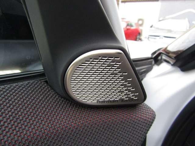 MINI Countryman D 2.0 48v JCW AUTO,CERCHI 19,TETTO,HUD,PACCHETTO XL