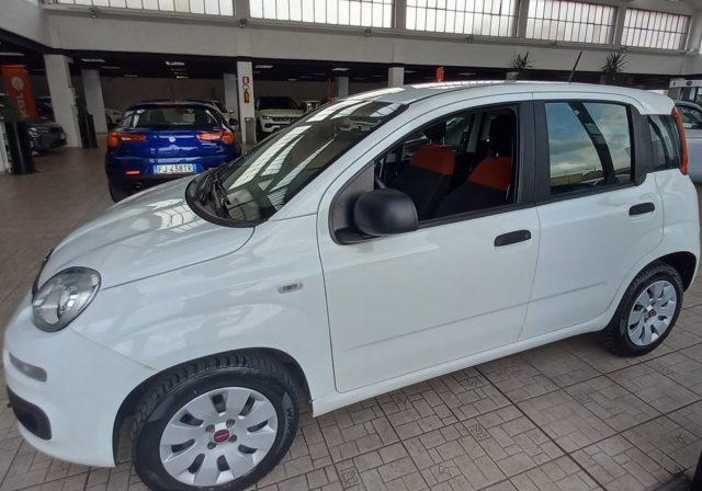 FIAT Panda 1.2 POP