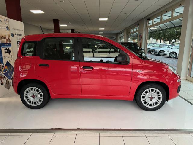 FIAT Panda 1.0 FireFly S&S Hybrid #PROMO