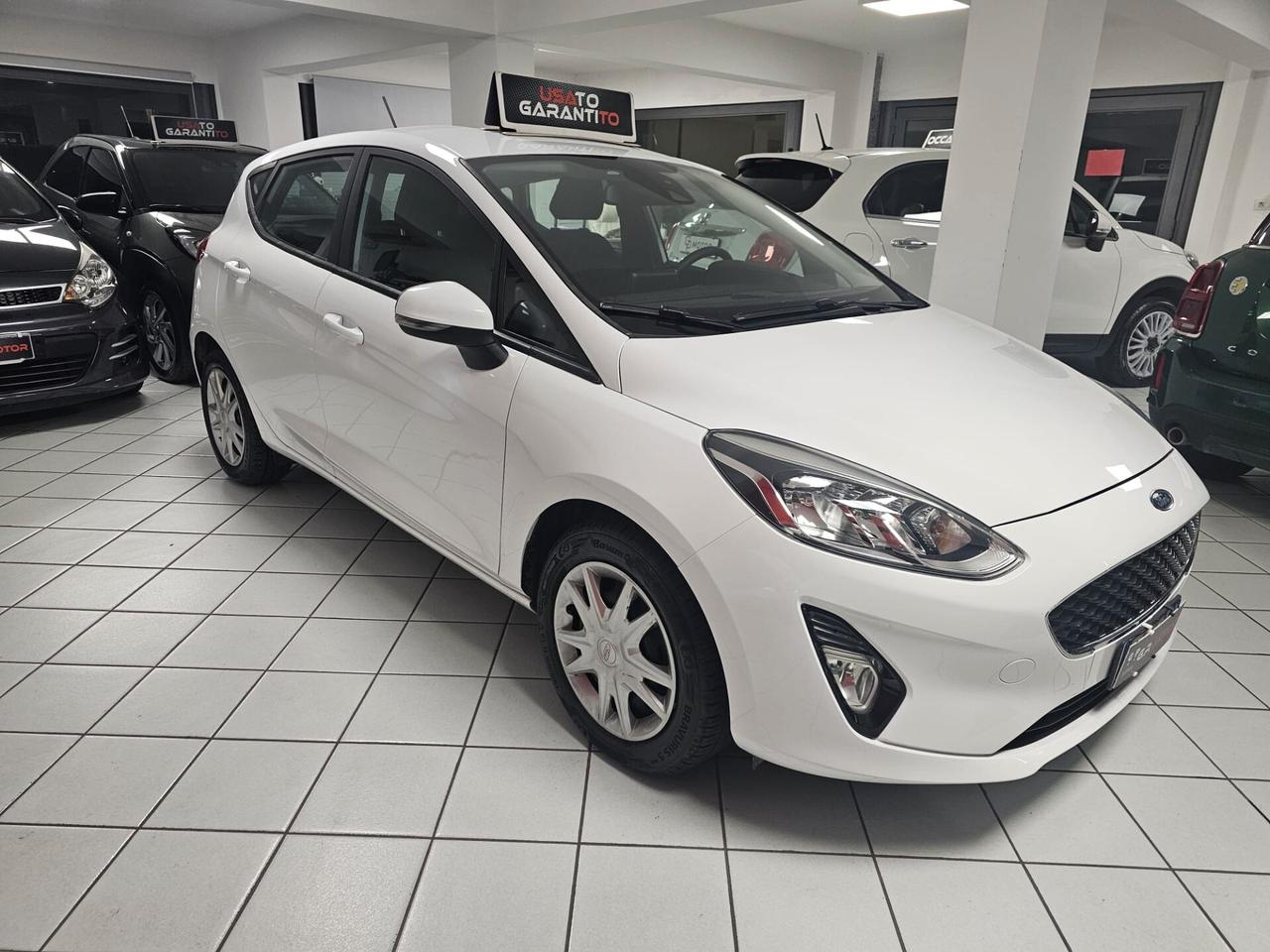 Ford Fiesta 1.5 EcoBlue 5 porte Vignale