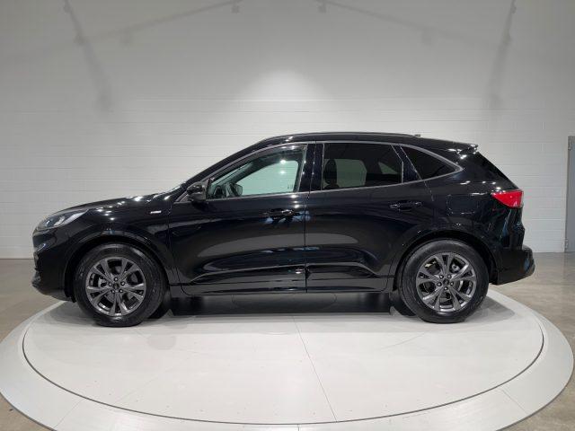FORD Kuga 1.5 EcoBlue 120 CV aut. 2WD ST-Line PREZZO REALE