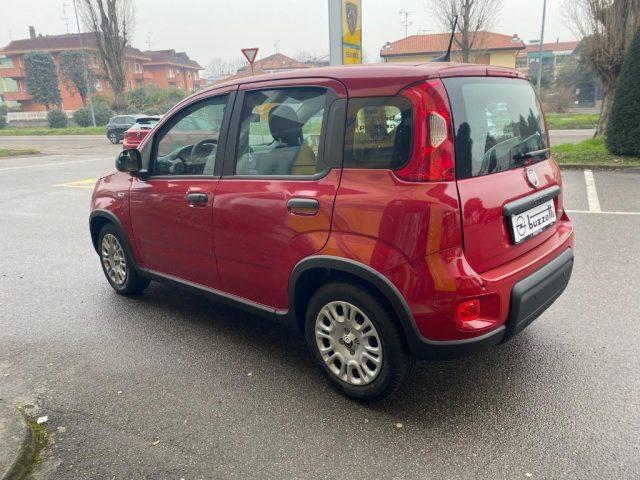 FIAT Panda 1.0 FireFly S&S Hybrid Pandina