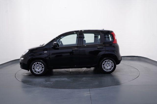 FIAT New Panda My25 1.0 FireFly S&S Hybrid #Pack City #5posto