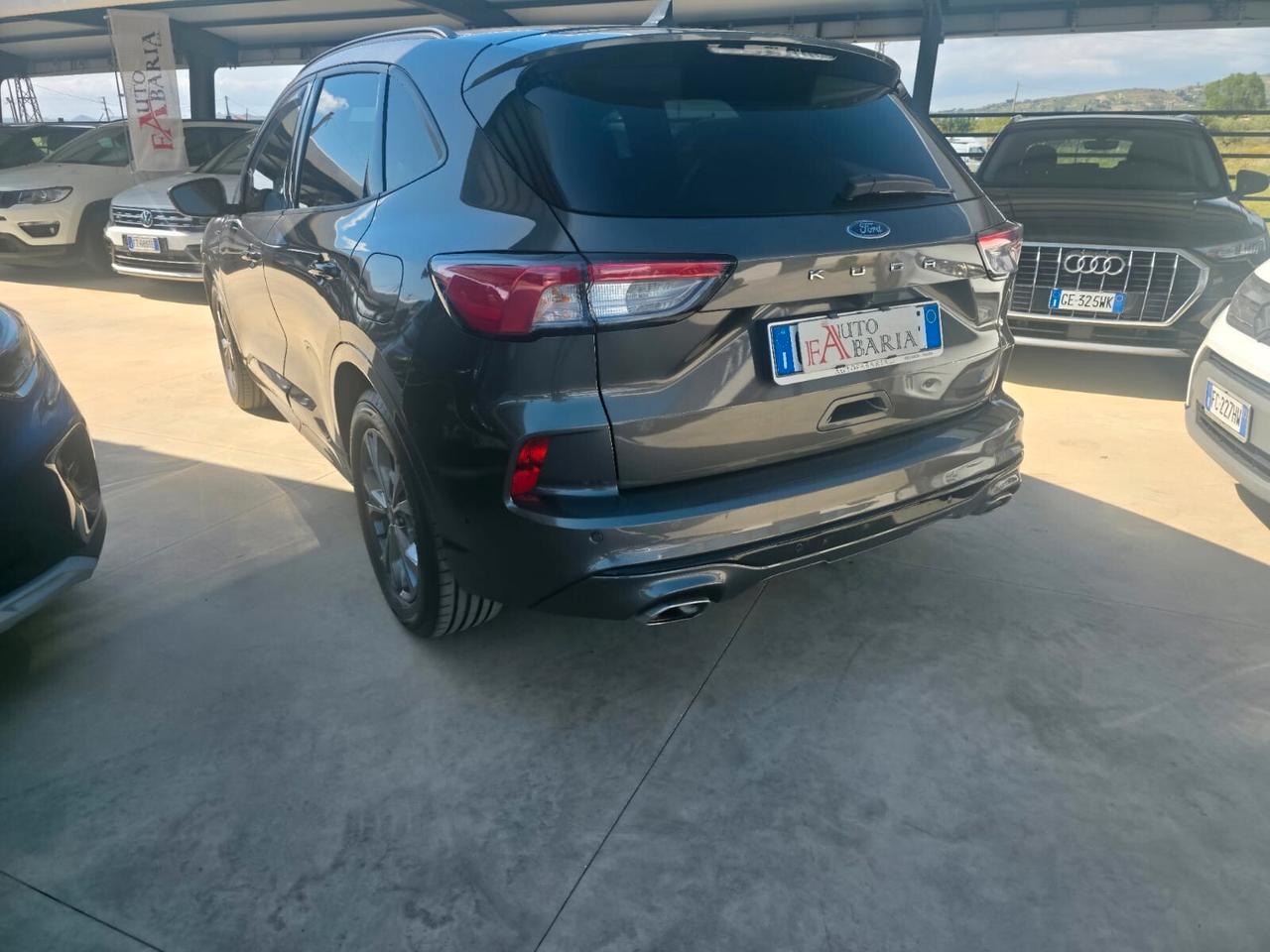 Ford Kuga 1.5 EcoBlue 120 CV 2WD ST-Line