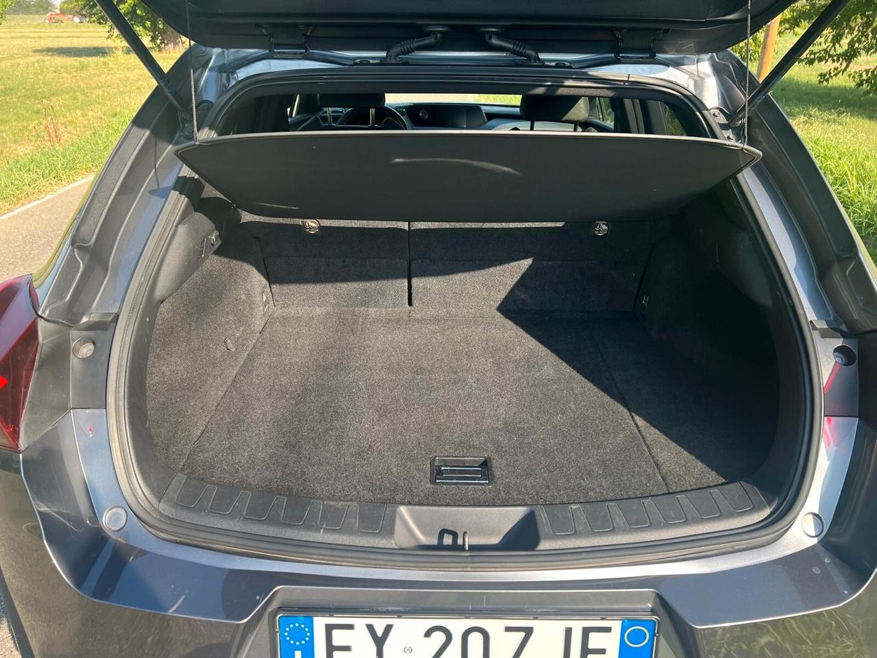 Lexus UX Hybrid 4WD Executive