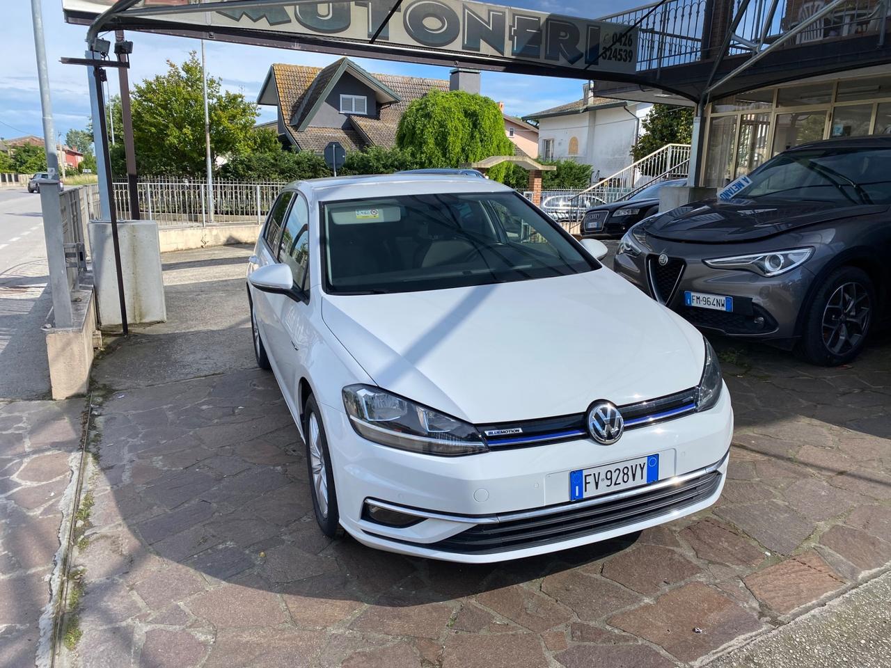 Volkswagen Golf 1.5 TGI 5p. Executive BlueMotion Technology