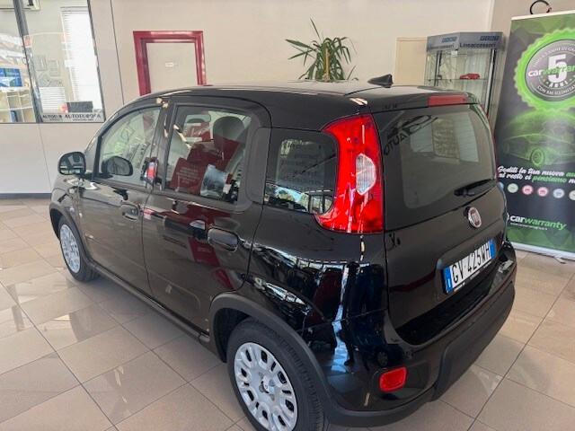FIAT Panda 3ª serie Panda 1.0 FireFly S&S Hybrid