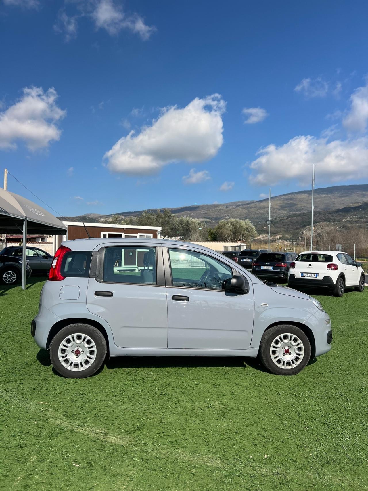 Fiat Panda 1.0 FireFly S&S Hybrid Launch Edition