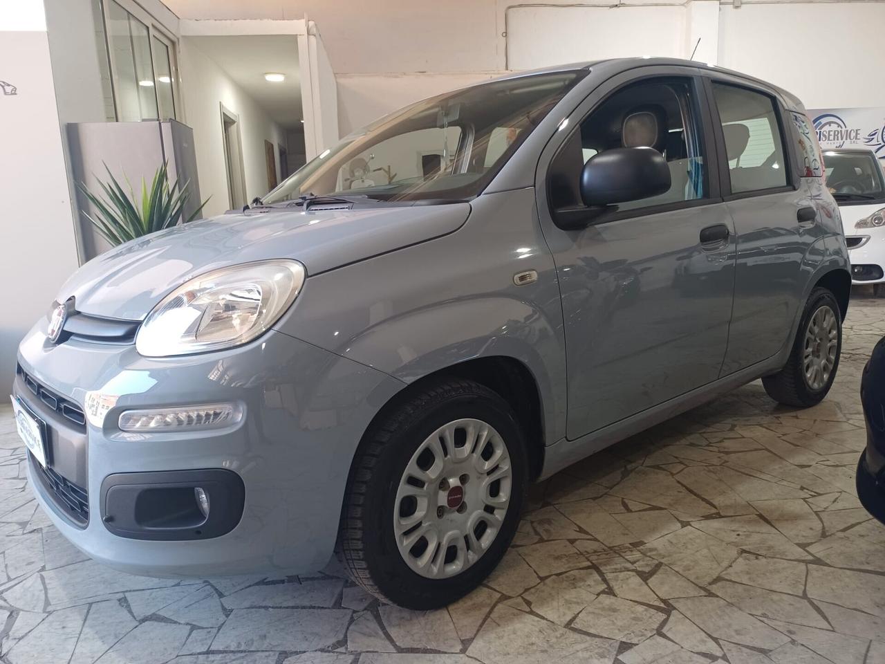 Fiat Panda 1.3 MJT EURO6 Lounge Perfetta - 2019