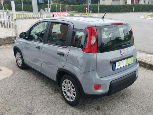 FIAT Panda 1.0 FireFly S&S Hybrid - con SOLO 16mila Km -