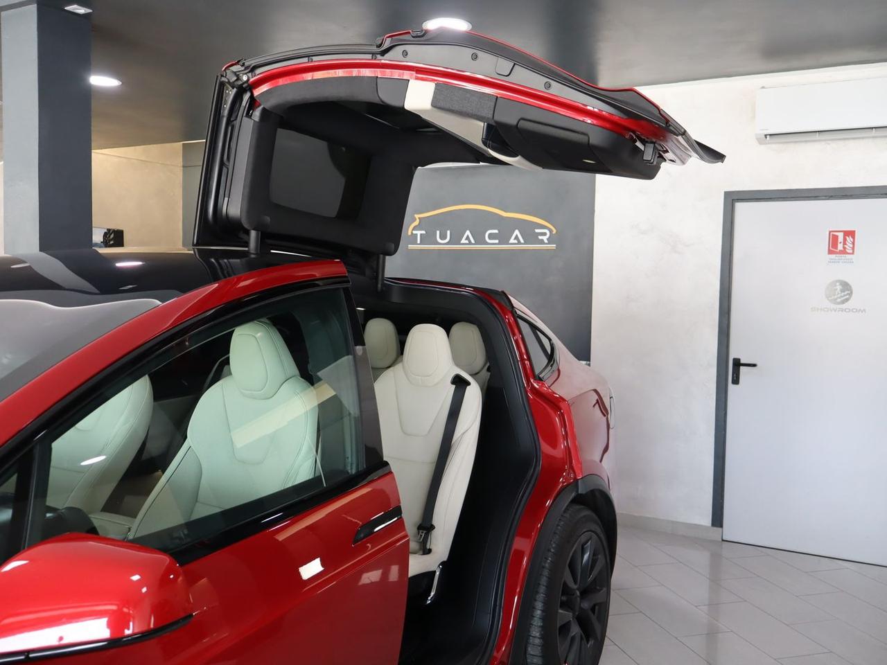 Tesla Model X Plaid #11739