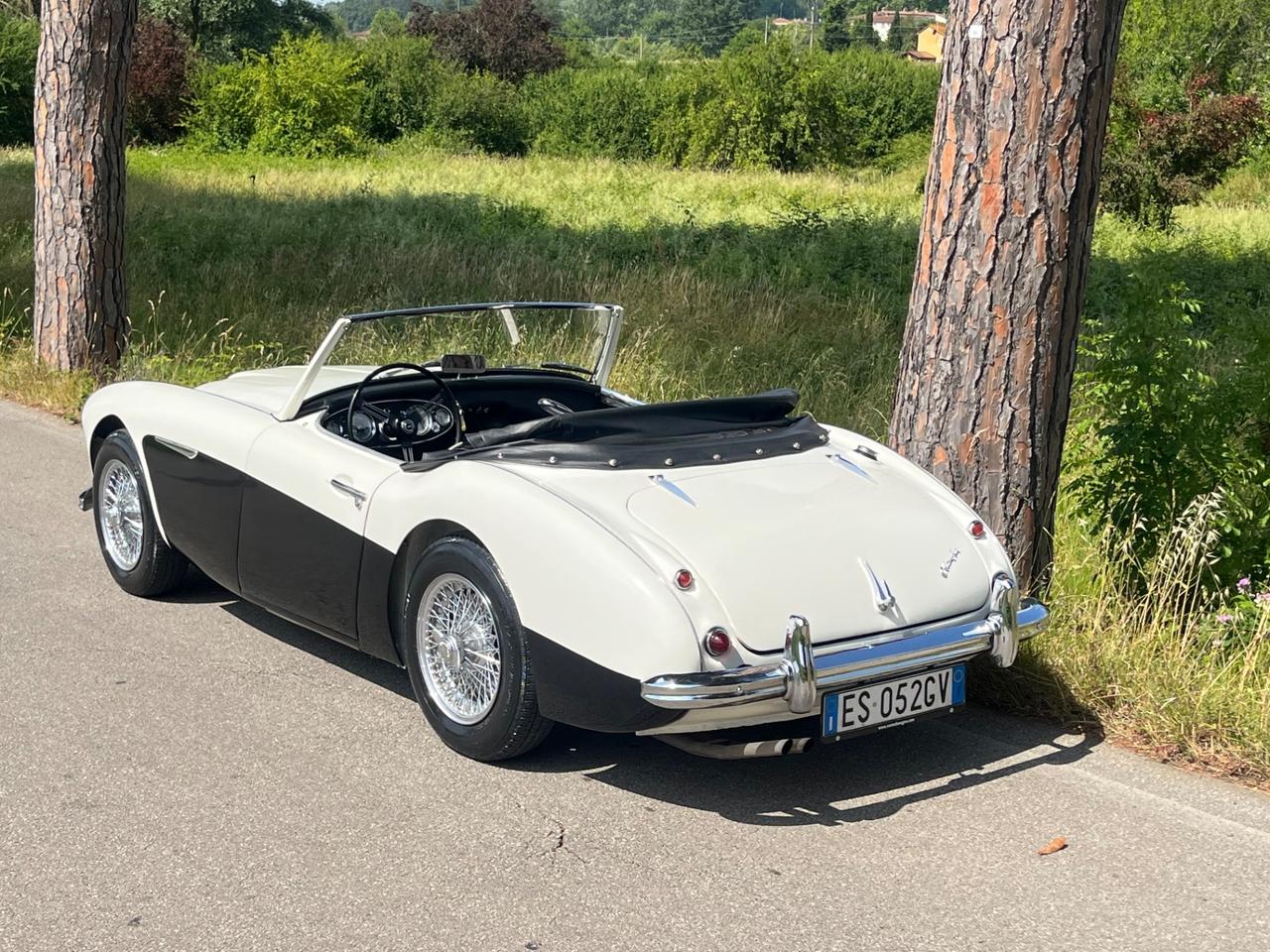 Austin Healey 100/6 BN4 2700 ASI