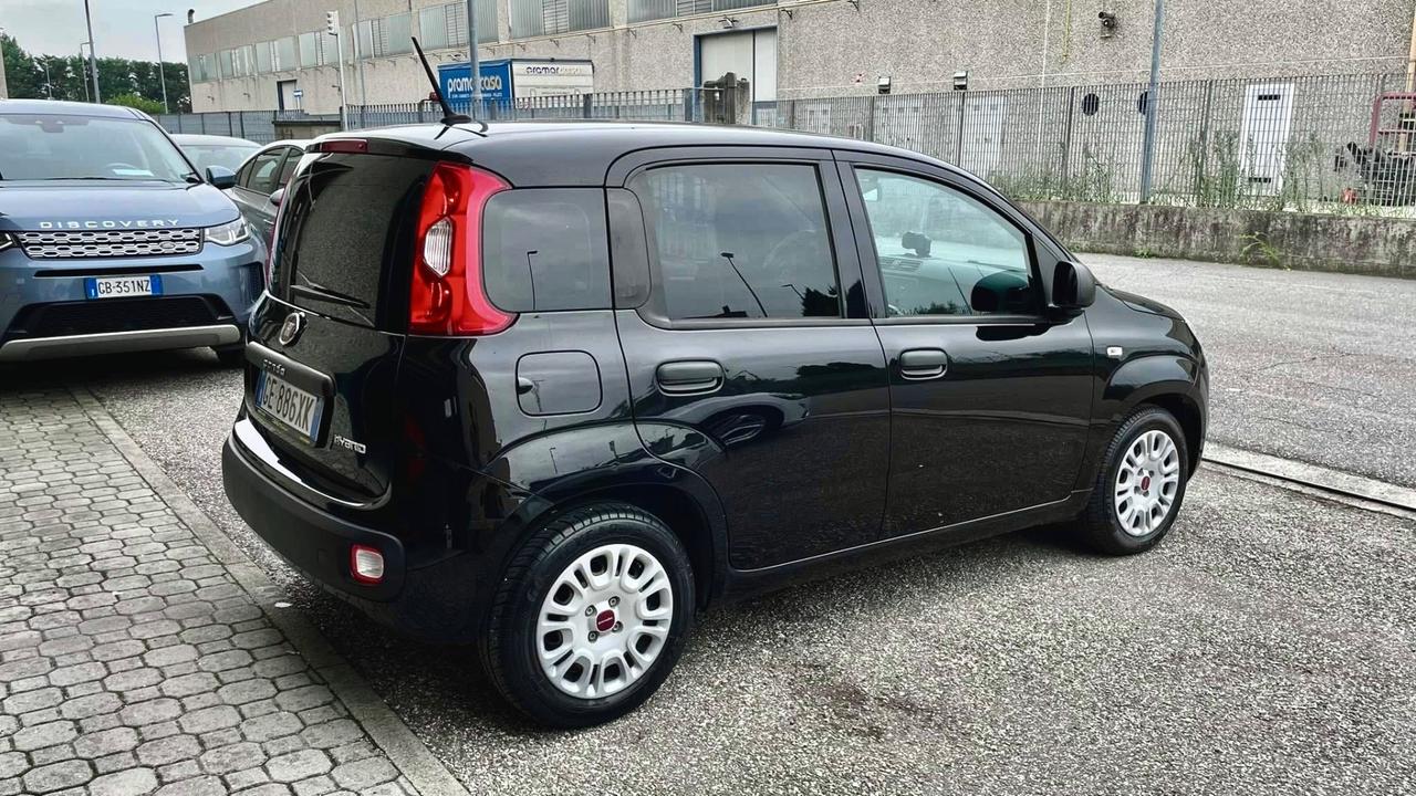 Fiat Panda 1.0 FireFly S&S Hybrid Easy NEOPATENTATO