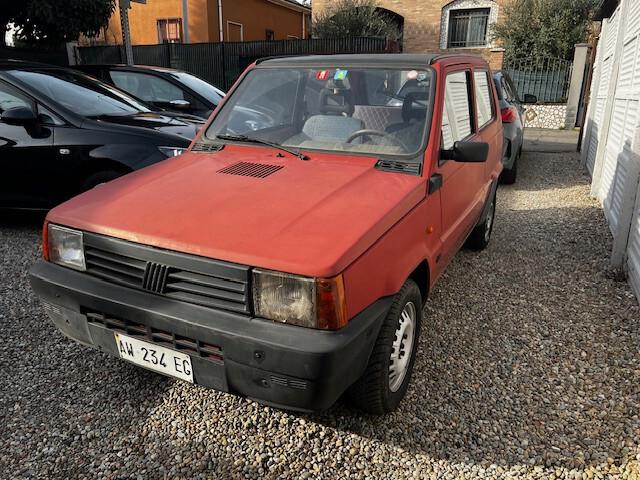 Fiat Panda 900 i.e. cat Young