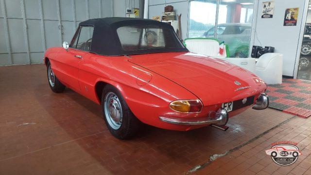 ALFA ROMEO Spider Duetto osso di seppia 1.3