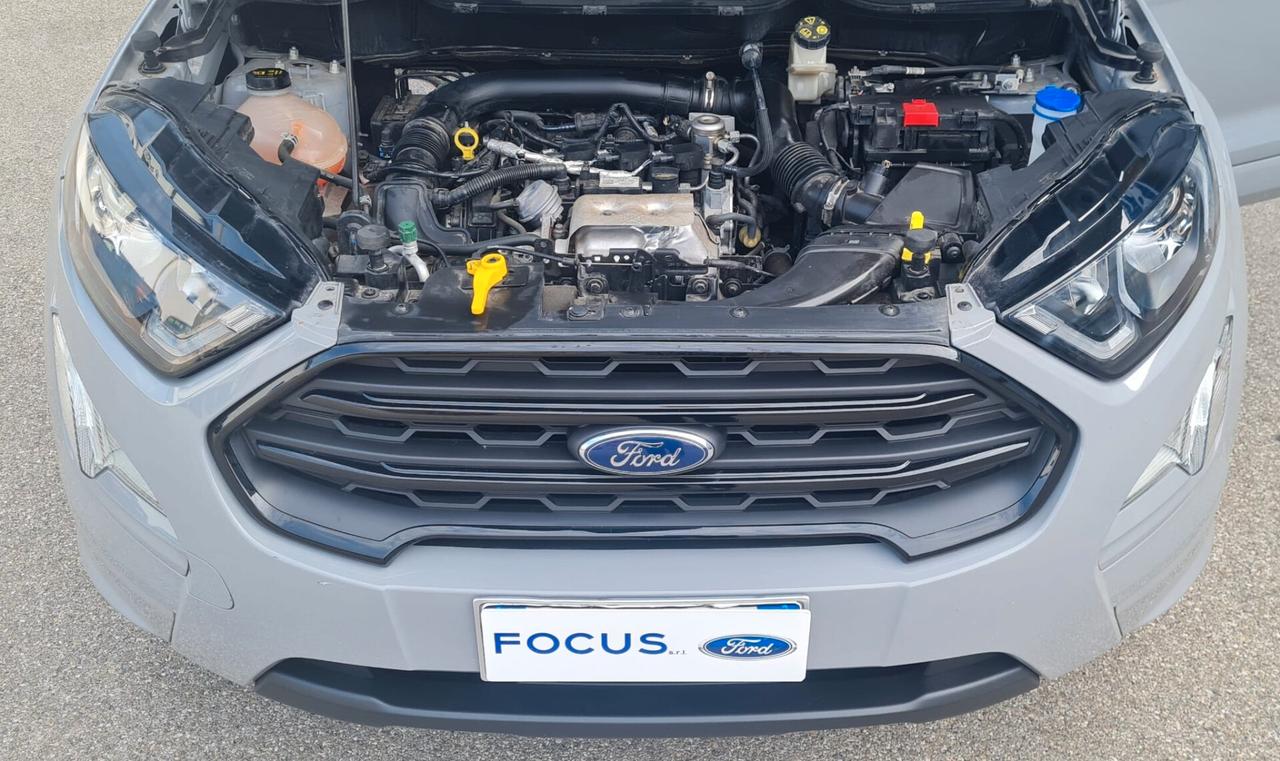 Ford EcoSport 1.0 EcoBoost 125 CV Start&Stop ST-Line