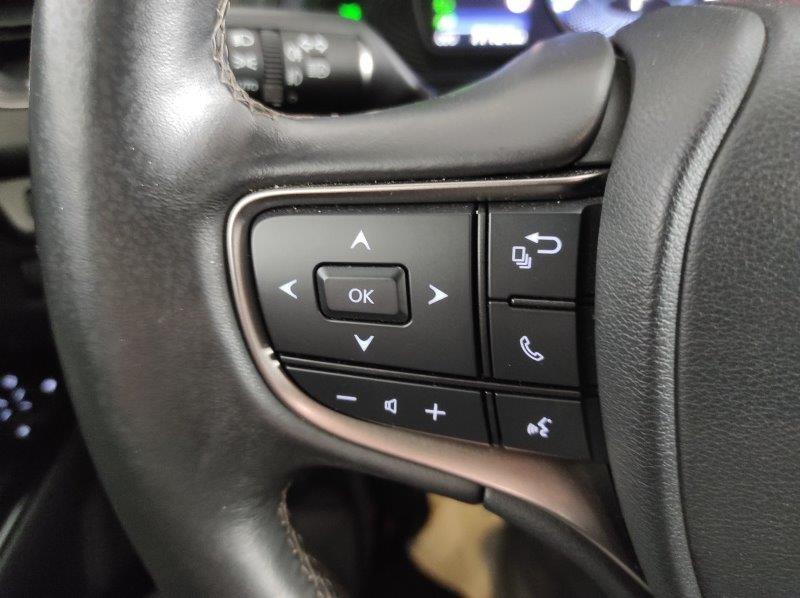 LEXUS UX - UX Hybrid Business