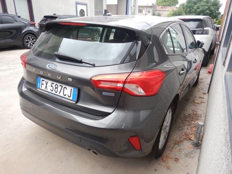 Ford Focus 1.5 EcoBlue 120 CV 5p. Business