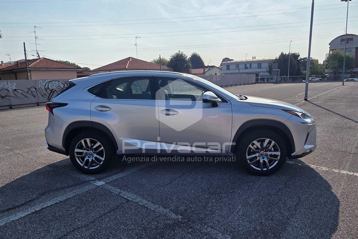 LEXUS NX Hybrid 4WD Business
