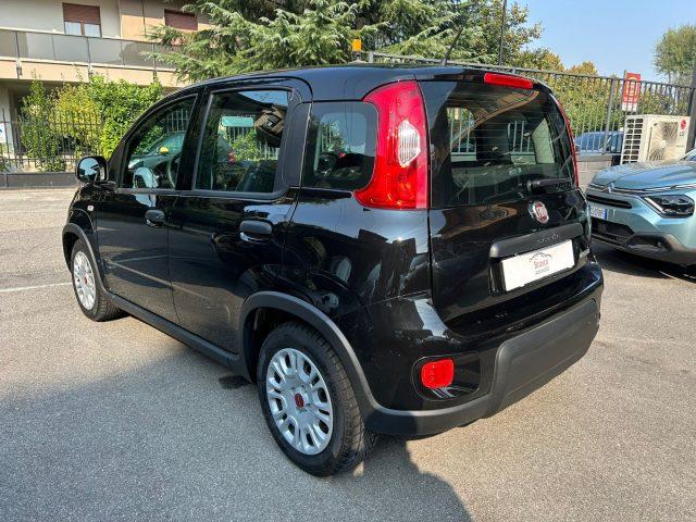 FIAT Panda 1.0 FireFly *PREZZO PROMO*