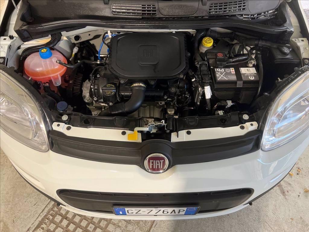 FIAT Pandina 1.0 firefly hybrid s&s 70cv 5p.ti del 2025