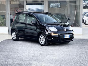 Fiat Panda 1.0 Hybrid 70CV E6 Neo - 2023