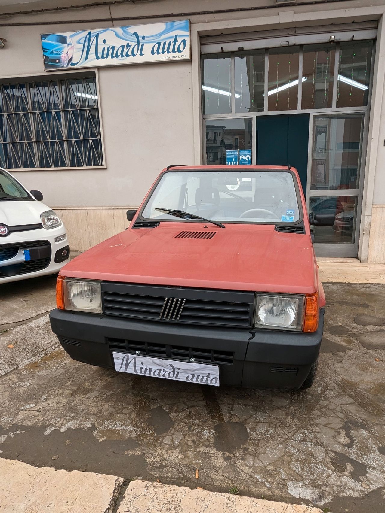 Fiat Panda 900 i.e. cat